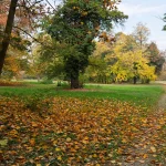Il Bosco del Parco di Villa Meli Lupi