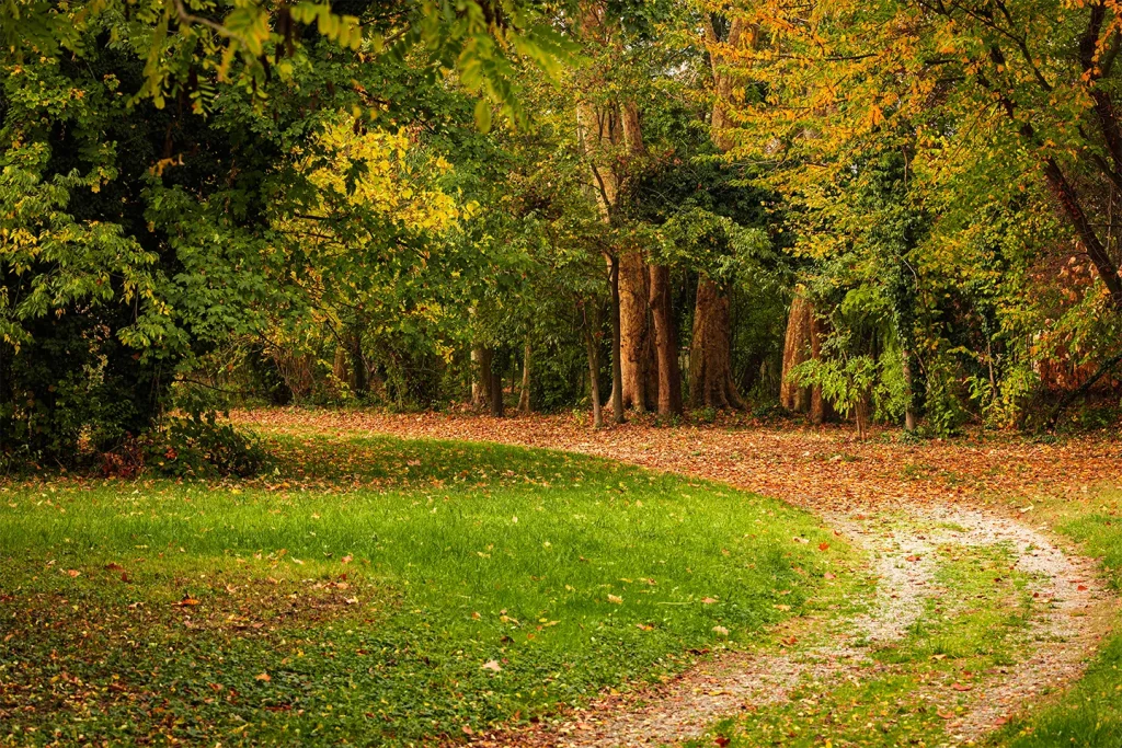 Il Bosco del Parco di Villa Meli Lupi