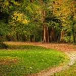 Il Bosco del Parco di Villa Meli Lupi