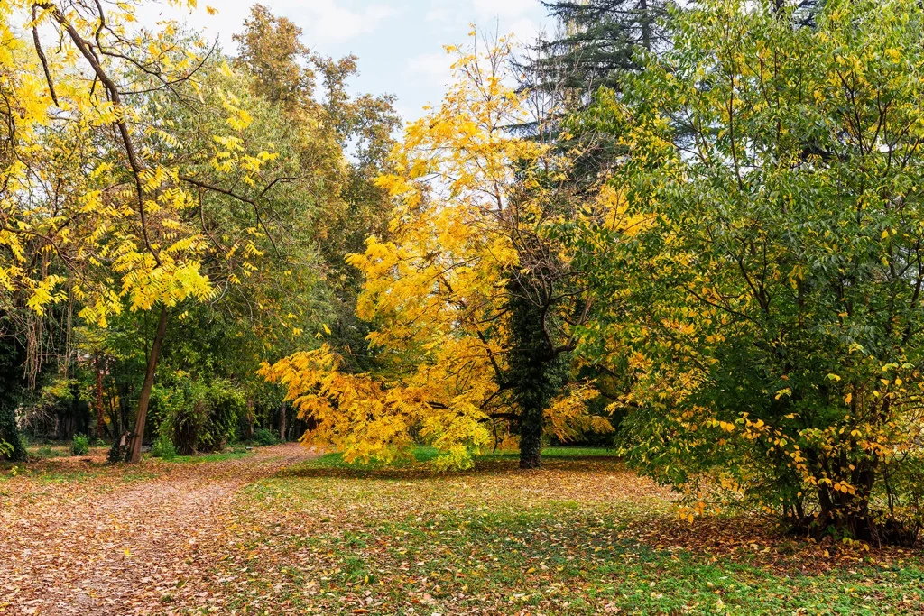 Il Bosco del Parco di Villa Meli Lupi