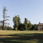 Grande Cedro del Libano del Parco di Villa Meli Lupi