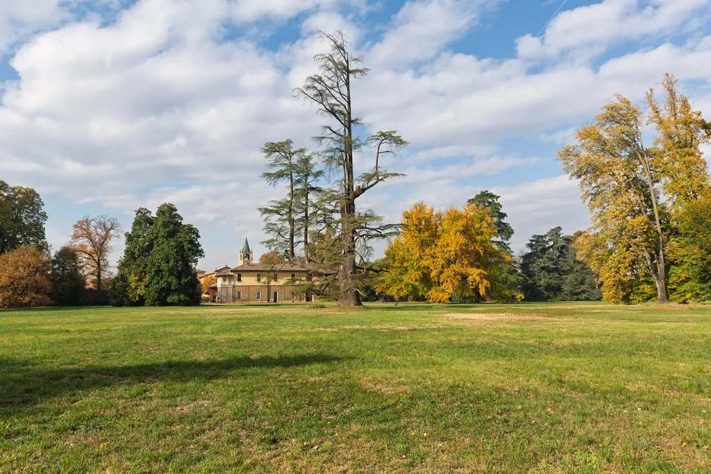 Grande Cedro del Libano del Parco di Villa Meli Lupi