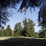 Villa Meli Lupi di Soragna Tarasconi