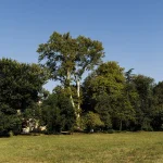 Villa Meli Lupi di Soragna Tarasconi