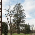 Villa Meli Lupi di Soragna Tarasconi