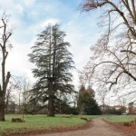 Villa Meli Lupi di Soragna Tarasconi