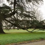 Villa Meli Lupi di Soragna Tarasconi