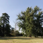 storia del Parco romantico di Villa Meli Lupi