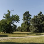 storia del Parco romantico di Villa Meli Lupi