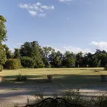 Il gruppo di cedri a sud di Villa Meli Lupi