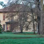 Il gruppo di tigli nel parco di Villa Meli Lupi