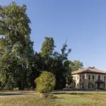 Il gruppo di tigli nel parco di Villa Meli Lupi