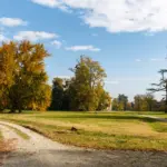 Il gruppo di tigli nel parco di Villa Meli Lupi